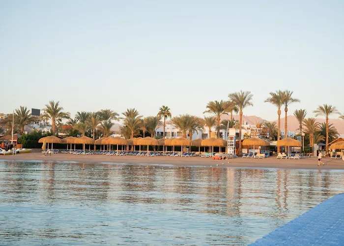 Resort Maritim Jolie & Casino