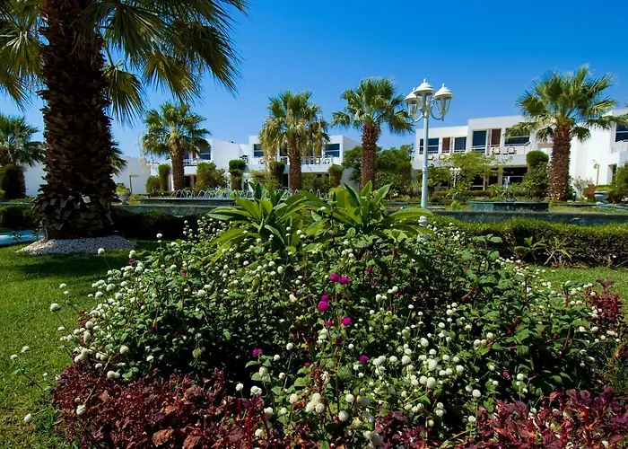 Resort Maritim Jolie & Casino 5*